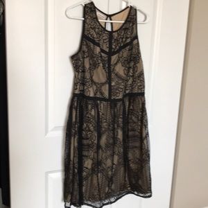 Stunning Nude & Black Lace Dress